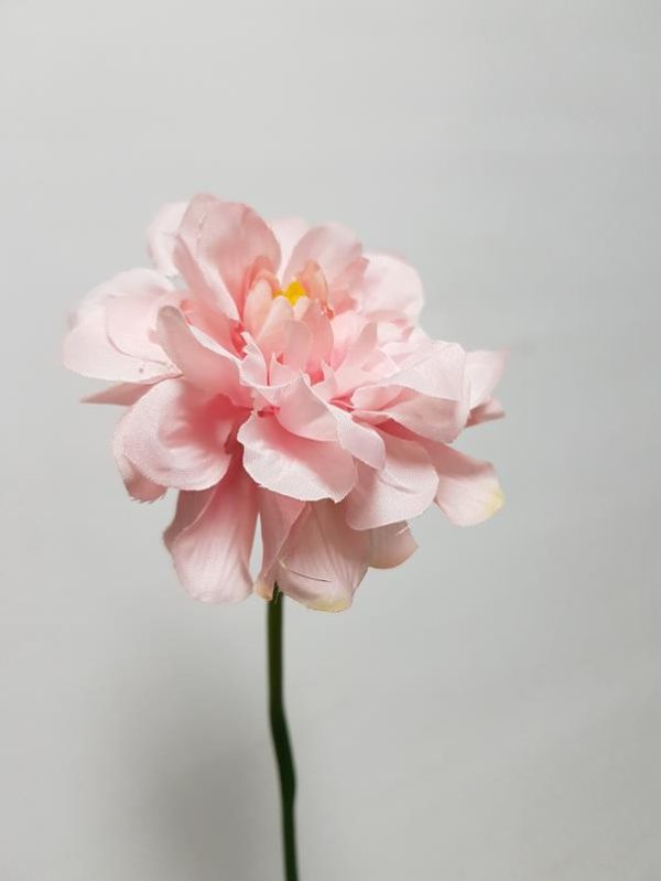 Wild Garden Flower Pale Pink