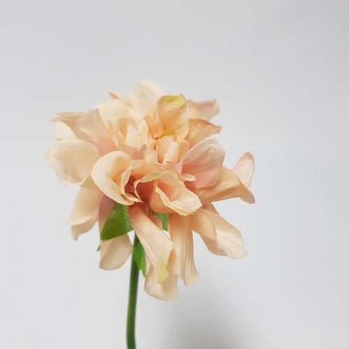 Wild Garden Flower Pale Peach