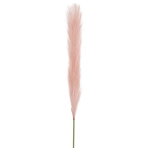 Silky Pampas Stem Baby Pink 70cm