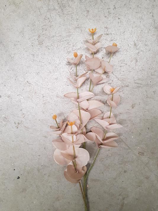 Dried-Look Eucalyptus Spray 88cm Beige - Image 4