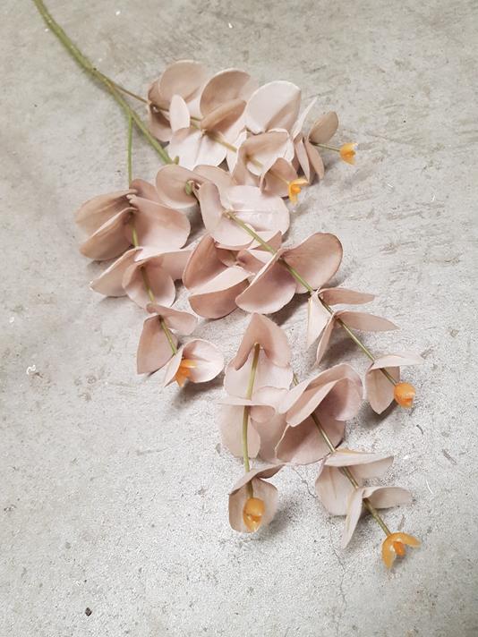 Dried-Look Eucalyptus Spray 88cm Beige - Image 3