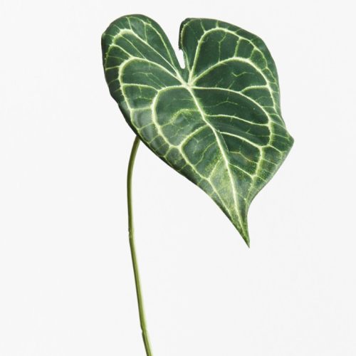 Artificial Flamingo Anthurium Leaf 42cm