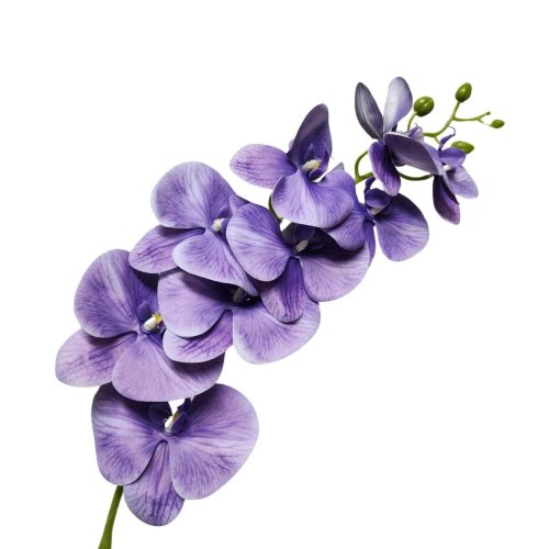 Artificial Phalaenopsis Orchid Purple 80cm