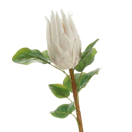 Artificial Queen Protea Cream 68cm