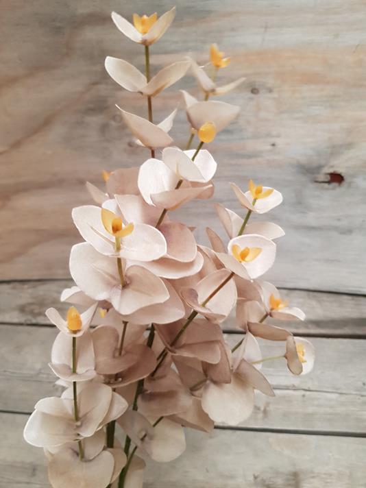 Dried-Look Eucalyptus Spray 88cm Beige - Image 2