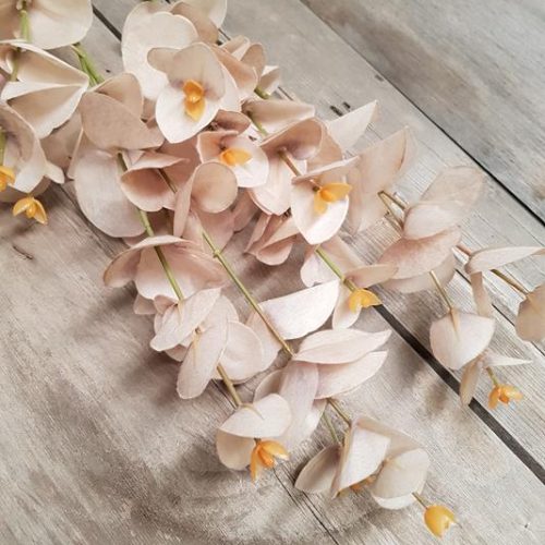 Dried-Look Eucalyptus Spray 88cm Beige