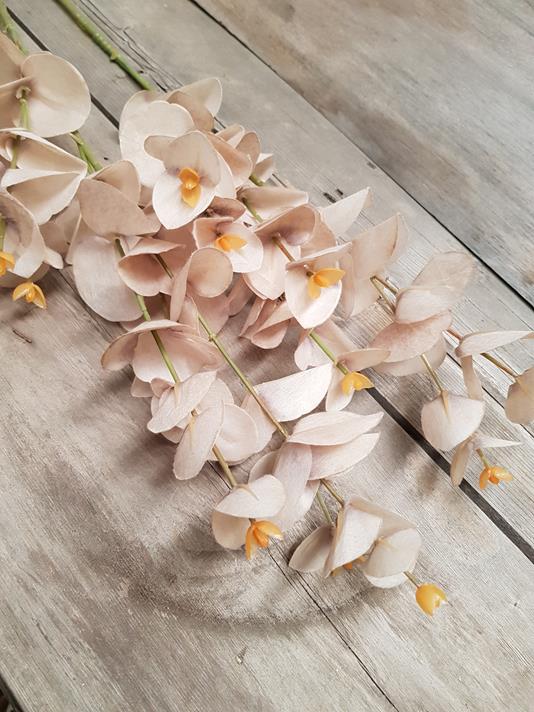 Dried-Look Eucalyptus Spray 88cm Beige