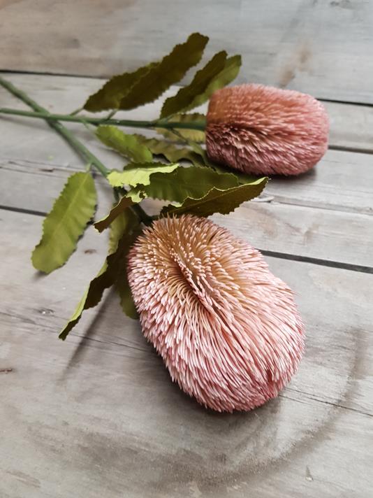 Artificial Dry-Look Banksia 65cm Pink - Image 3