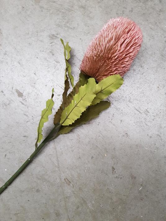 Artificial Dry-Look Banksia 65cm Pink - Image 2