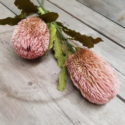 Artificial Dry-Look Banksia 65cm Pink