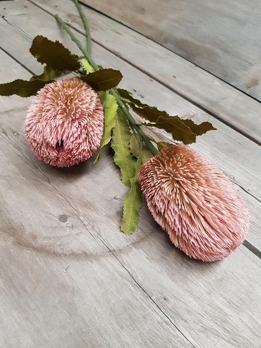 Artificial Dry-Look Banksia 65cm Pink