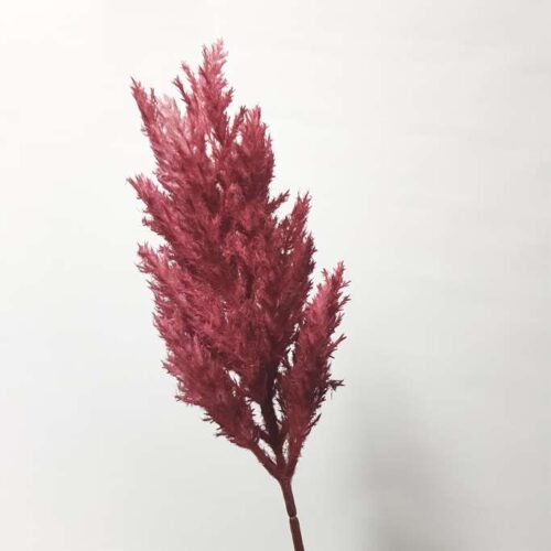 Artificial Pampas Stem Plum 70cm