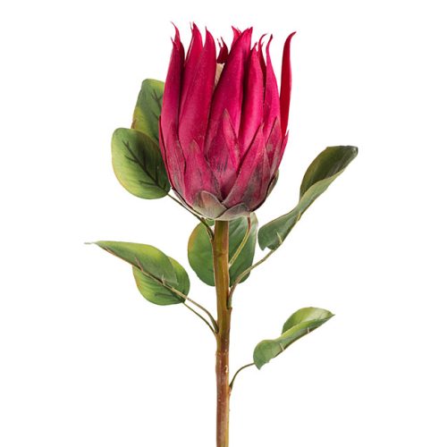 Artificial Queen Protea 68cm Fuchsia