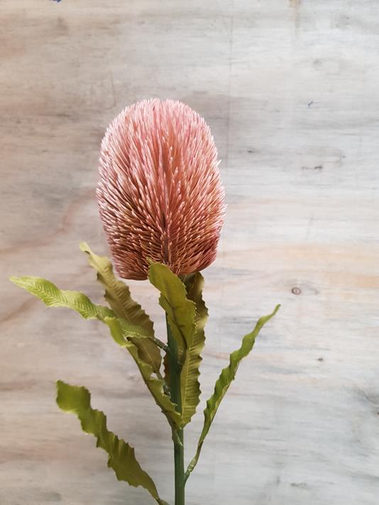 Artificial Dry-Look Banksia 65cm Pink - Image 4