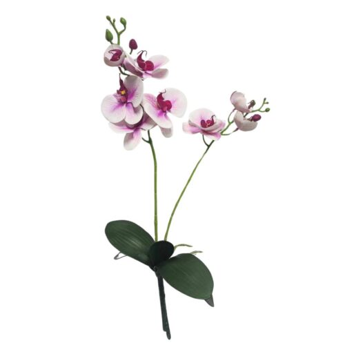 Artificial Orchid Two Heads 59cm