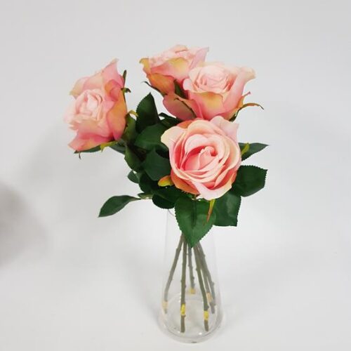 Rose Soft Touch Peach