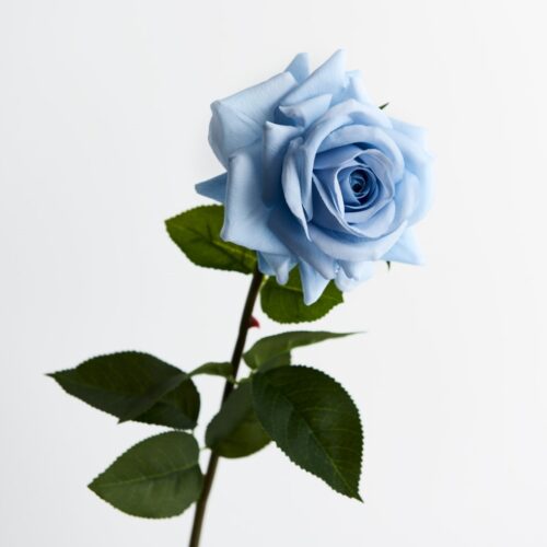 Artificial Rose Anna Ice Blue 75cm