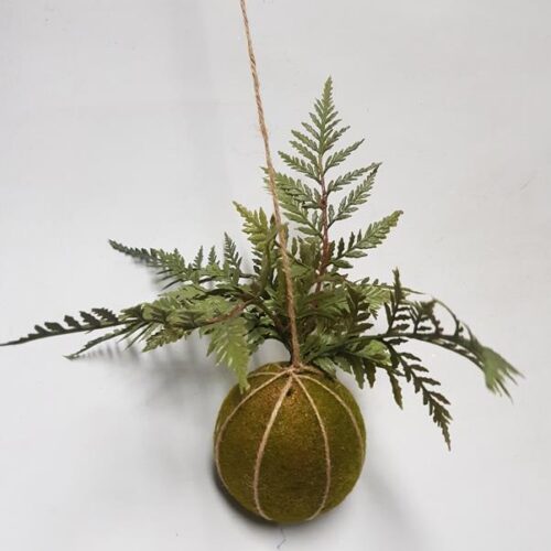 Hanging Moss Ball with Leather Fern