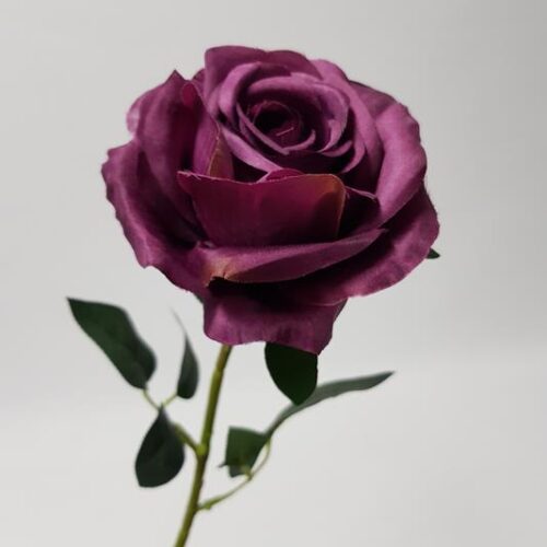 Rose Stem Audrey Dark Purple 75cm