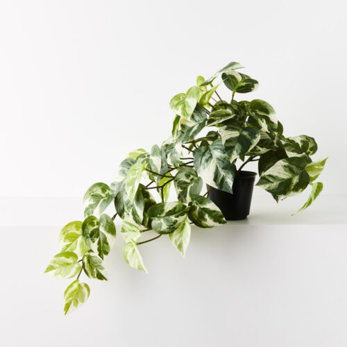 Artificial Pothos Hanging Plant in Pot 48cm