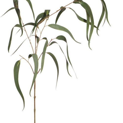 Artificial Eucalyptus leaf Long 96cm