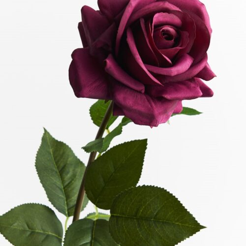 Artificial Rose Anna Dark Plum 75cm