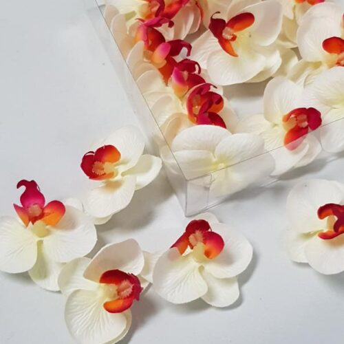 Butterfly Orchid Heads Cream