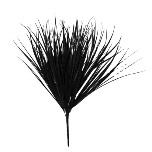 Black Grass bush 50cm