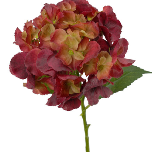 Hydrangea Stem Savannah Candy Apple Red 49cm