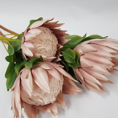 King Protea 70cm Light Pink