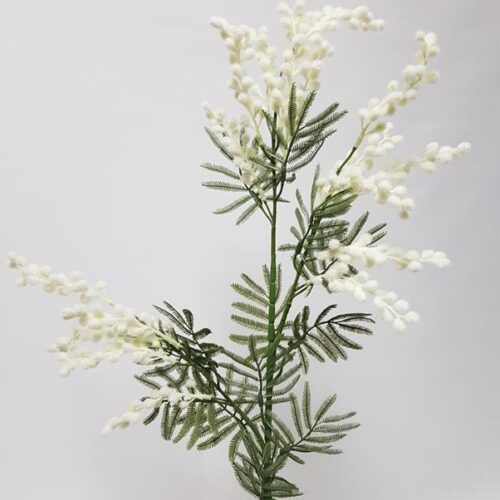 Artificial Wattle Spray White 73cm
