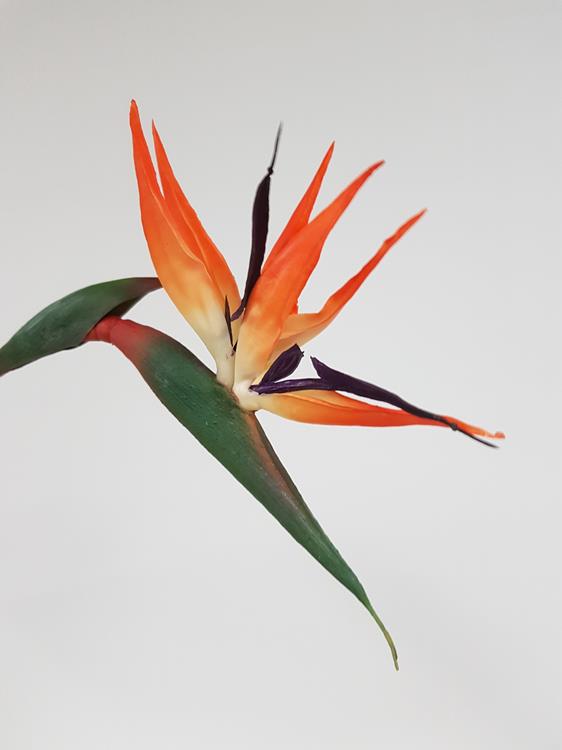 Real Touch Bird of Paradise 80cm - Image 2
