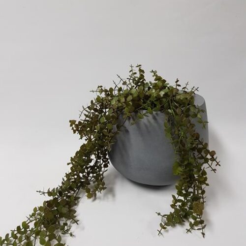 Creeping Wire Vine 80cm Green/Brown