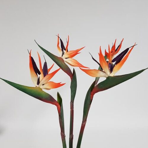 Real Touch Bird of Paradise 80cm