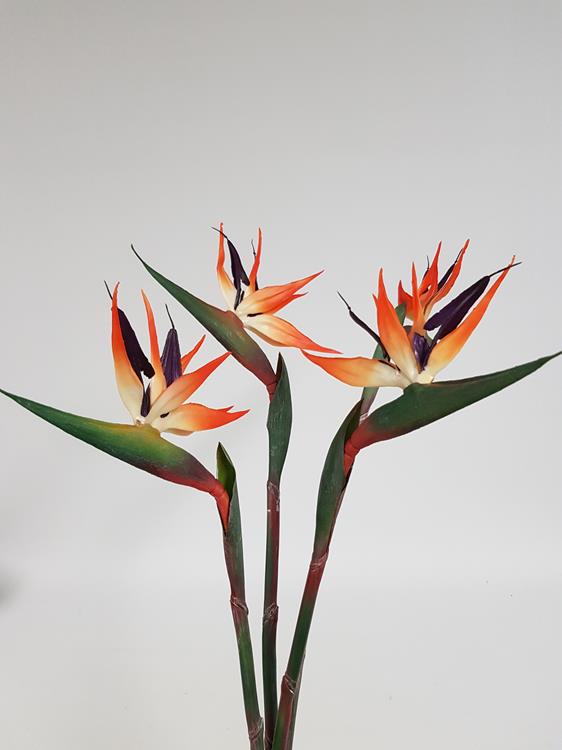 Real Touch Bird of Paradise 80cm