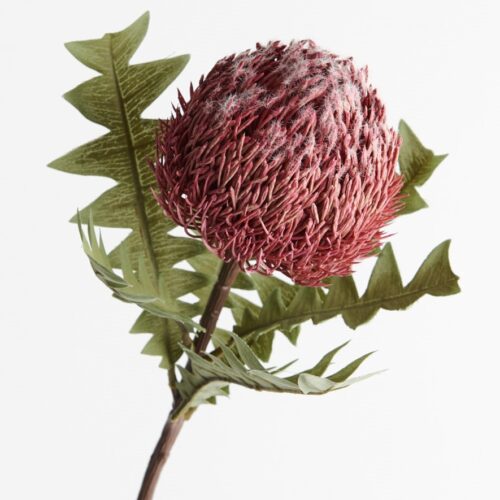 Artificial Banksia Baxteri Dark Pink 69cm