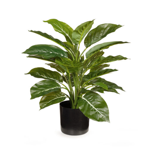 Artificial Ever Green Plant 45cm