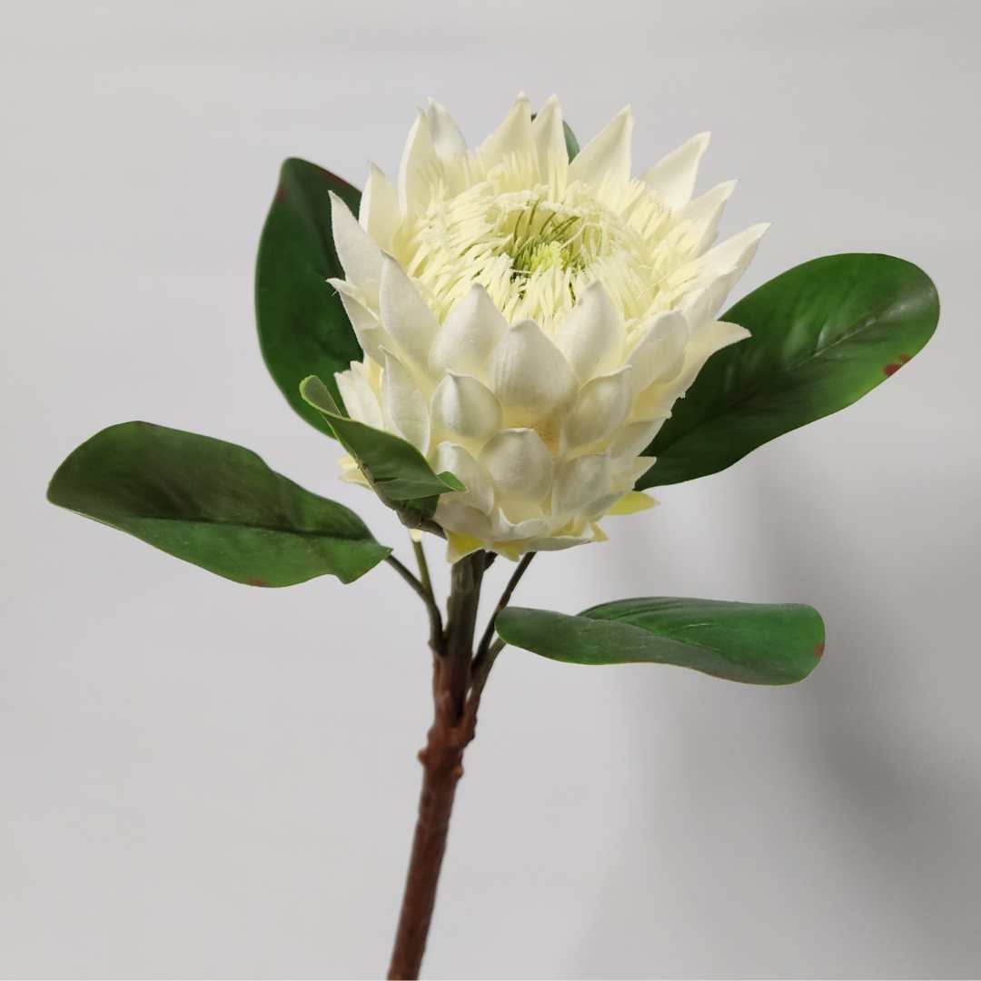 Artificial King Protea Charlie White 52cm