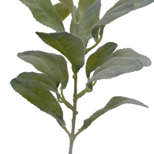 Artificial Lambs Ear 34cm