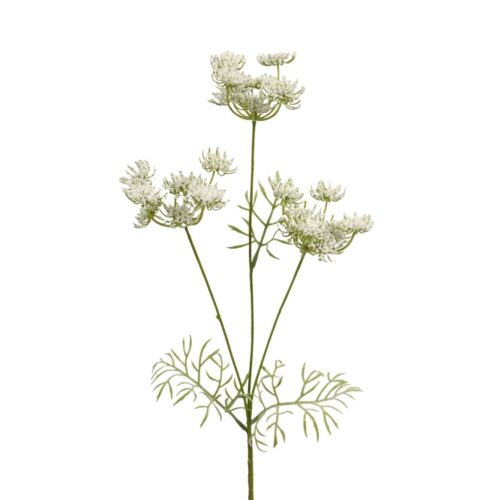 Artificial Queen Anne Lace White 52cm