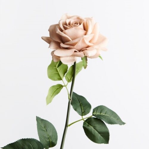 Artificial Rose Anna Latte 75cm