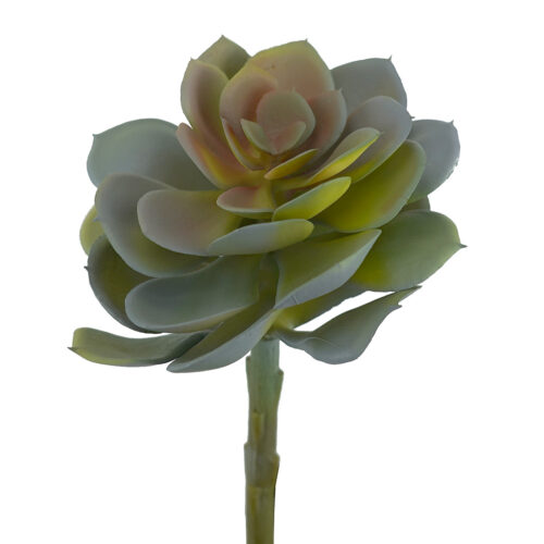 Artificial Succulent Aeon Grey