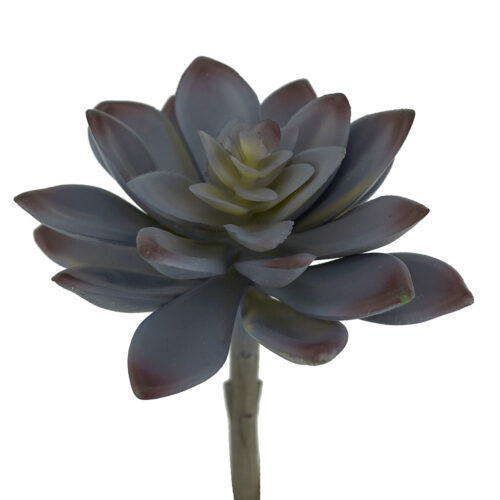 Artificial Succulent Aloey Grey