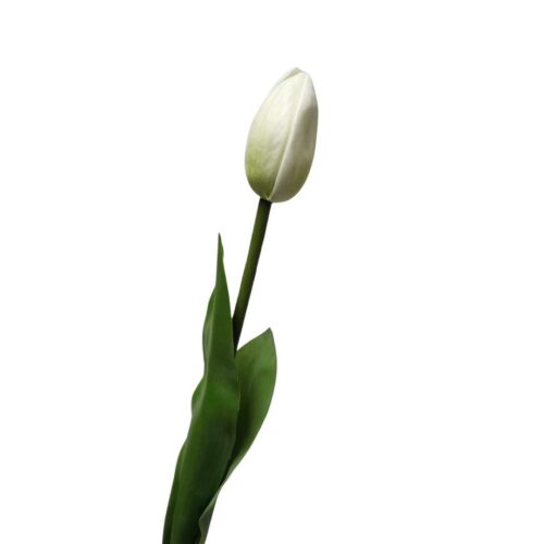Artificial Tulip Bud White 49cm