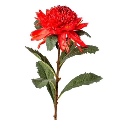 Artificial Waratah Red 80cm