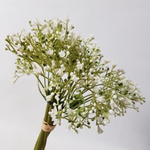 Babies Breath Gyp Bundle 30cm