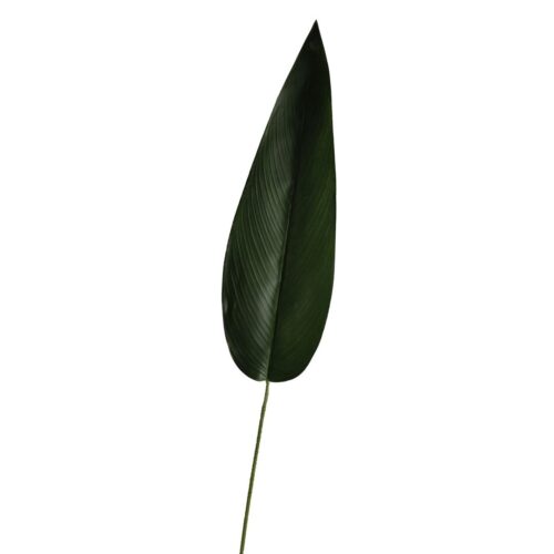 Bird of Paradise Leaf 75cm