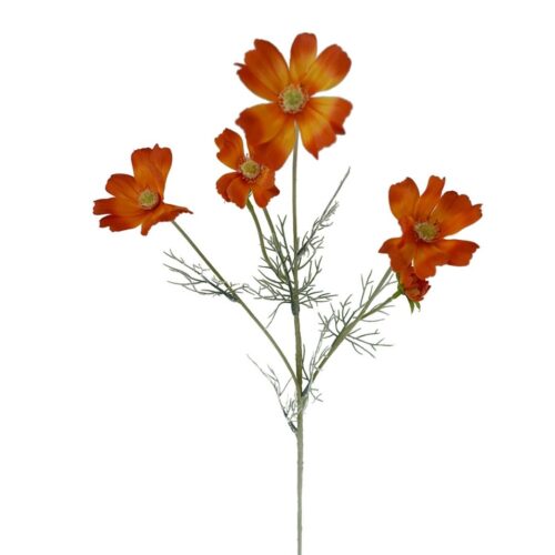 Cosmos Wild Flower Orange 60cm