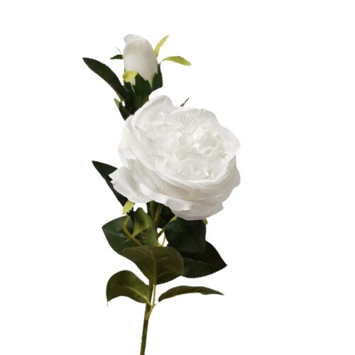 English Rose Kate White 67cm