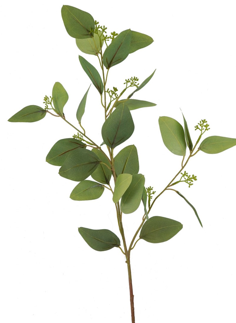 Eucalyptus Gum Leaves with Seed 72cm